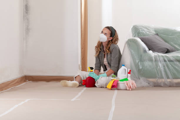 Reliable Mold Cleanup contractor in Edison, NJ by Cheap Mold Removal